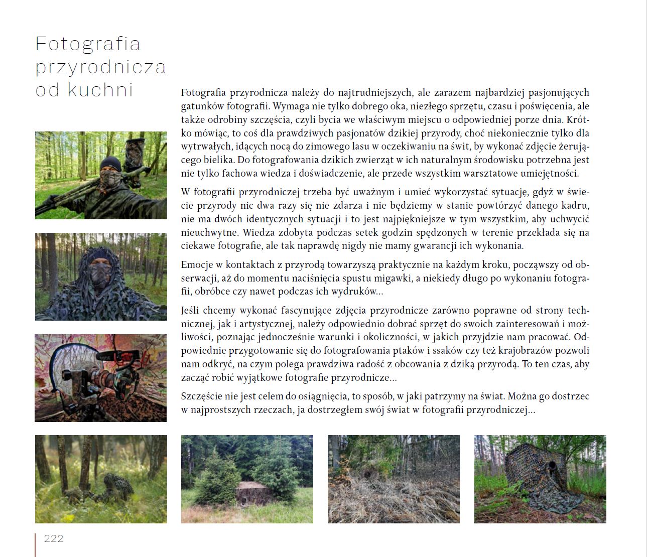 O czym szumi gaj. Opowieści z Borów Tucholskich